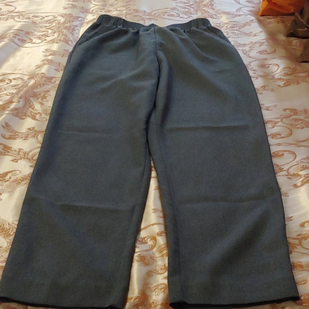 Women's Donn Kenny Petite Pants